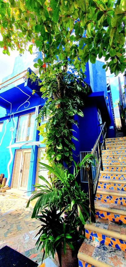 Bloom! Exclusive Boutique B&B (Adults Only) プレヤデルカーメン エクステリア 写真