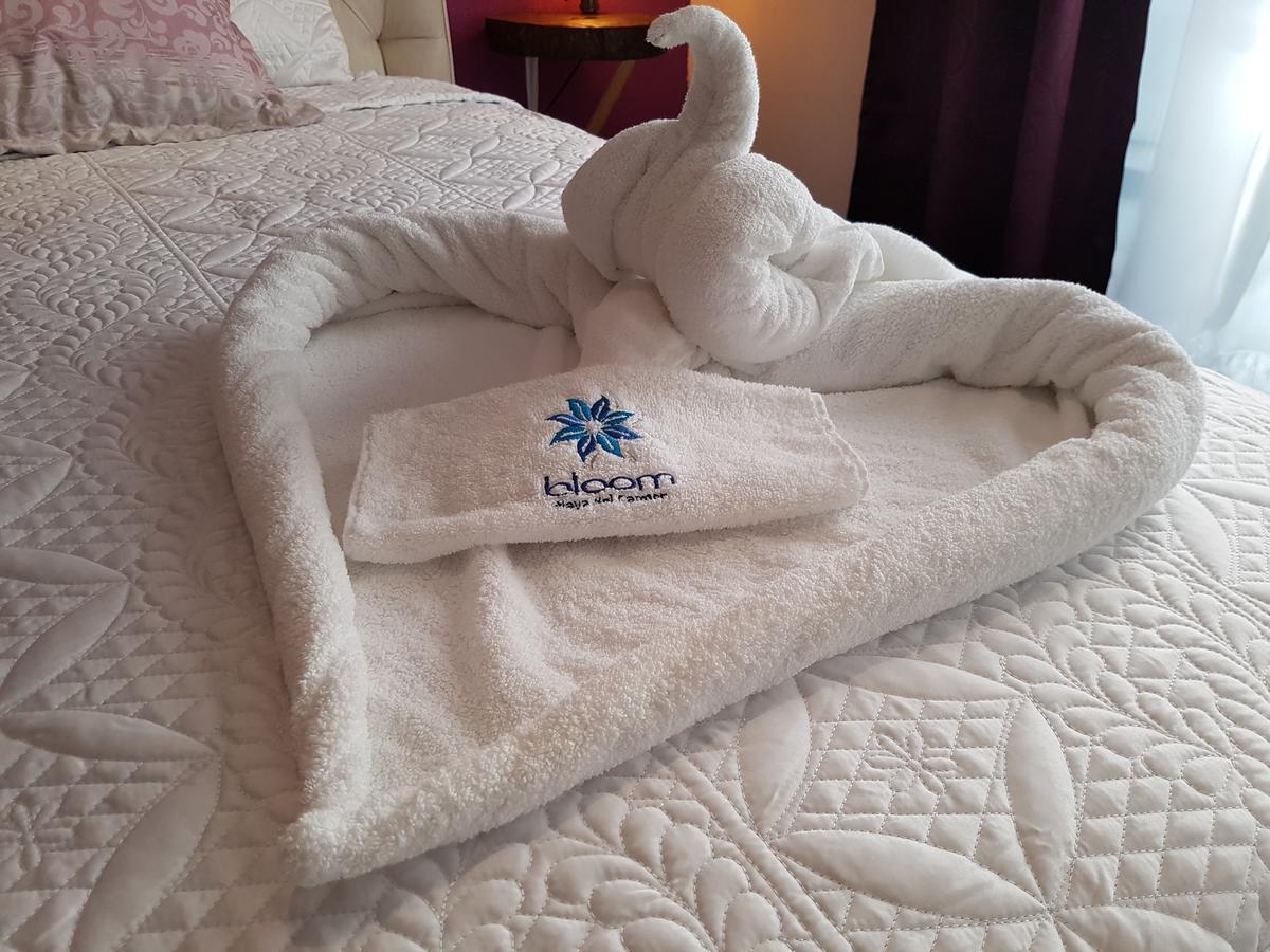 Bloom! Exclusive Boutique B&B (Adults Only) プレヤデルカーメン エクステリア 写真